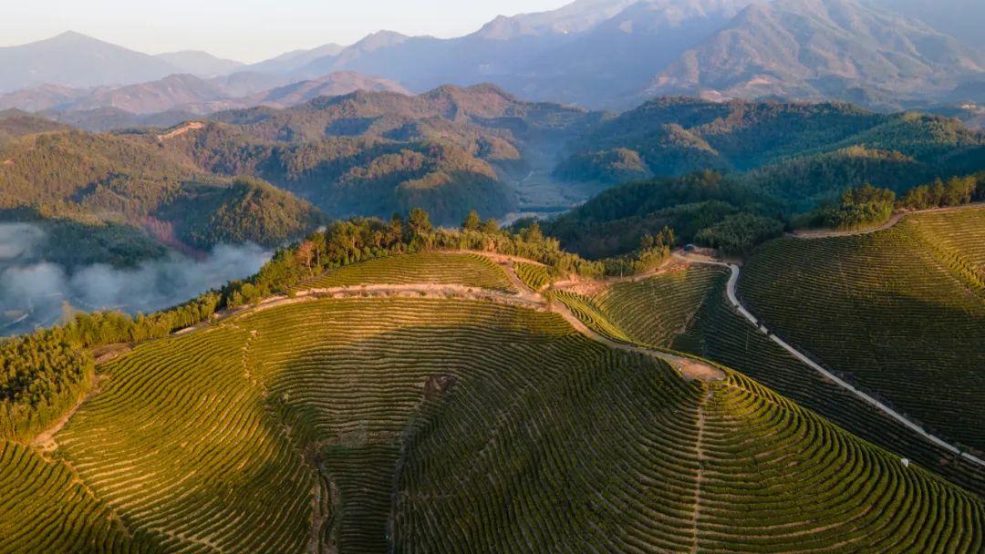 杭州适宜旅游的时间_季节杭州旅游去哪里好_哪个季节去杭州旅游