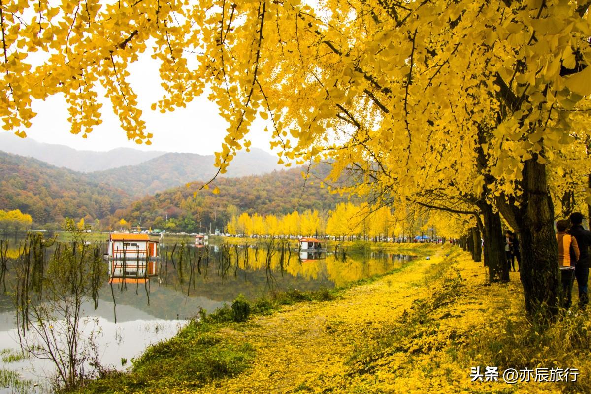 哪个季节去杭州旅游_季节杭州旅游去哪里好玩_杭州旅游季节去最好