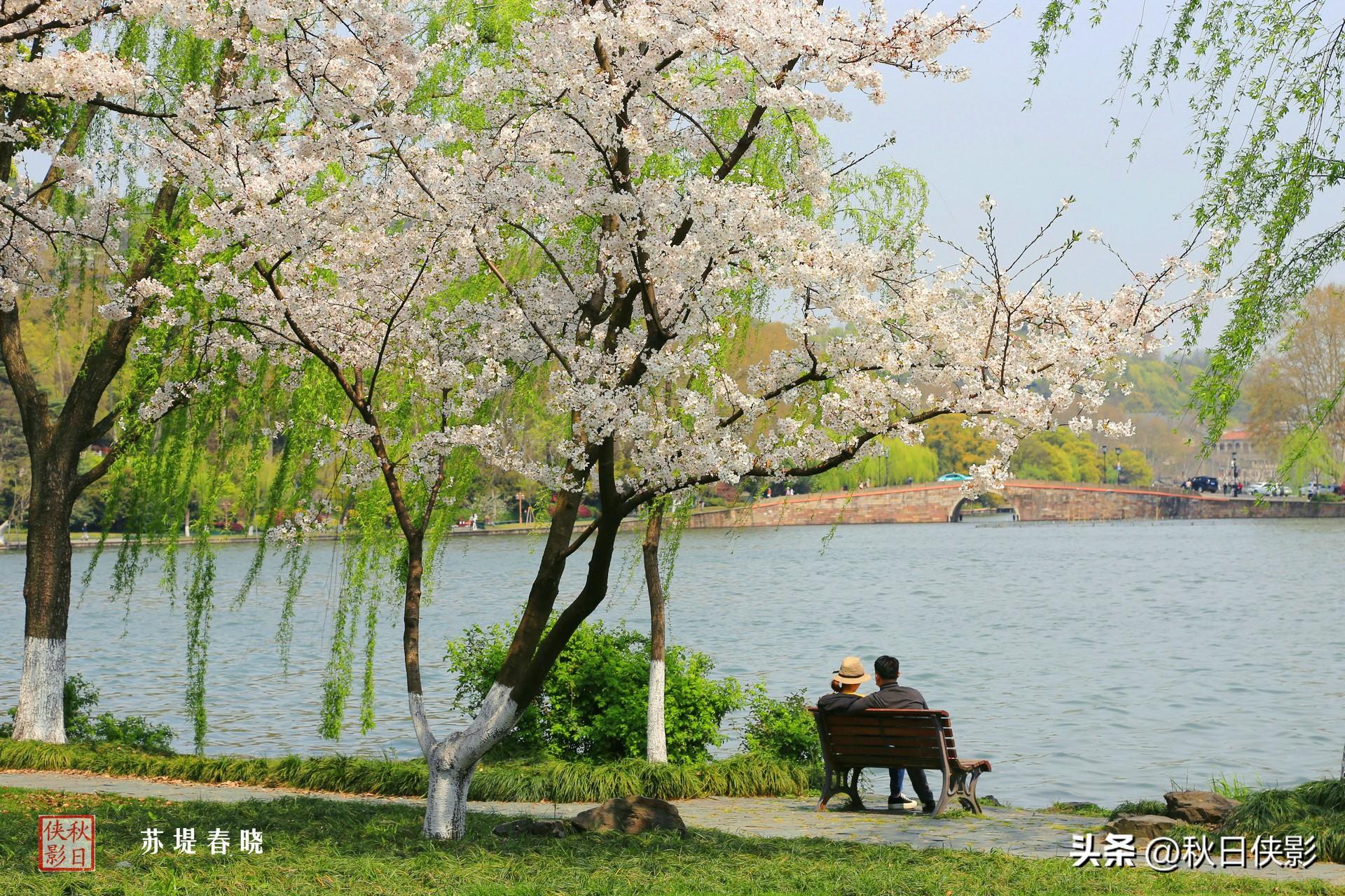 季节杭州旅游去哪里好_杭州旅游季节去最好_哪个季节去杭州旅游