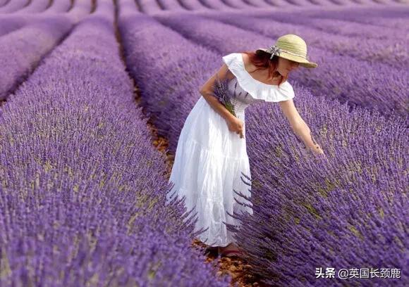 意大利地点旅游推荐安全的地方_意大利安全旅游地点推荐_意大利旅游地方