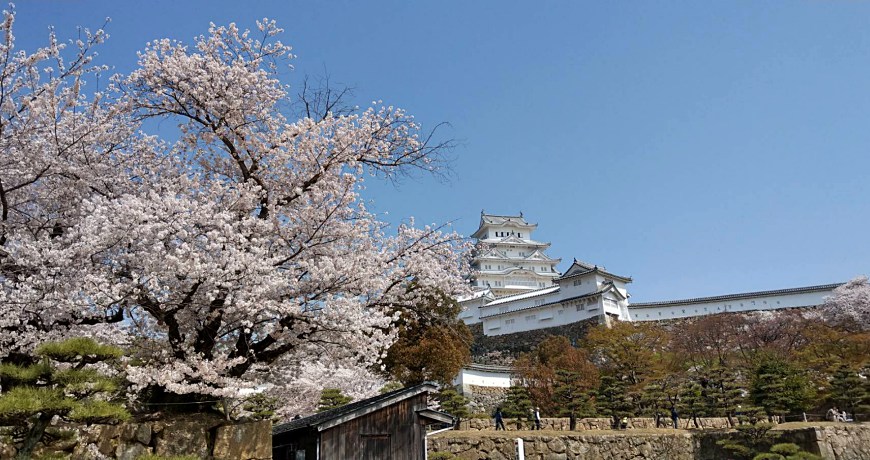 日本全国自由行自助旅游东京关西大阪京都奈良北海道新手教学懒人包总整理买机票廉价航空或传统航空找住宿区域行前准备换汇汇率怎么上网分享器漫游sim卡行李打包入境海关怎么排行程交通方式预算省钱在日本须注意的礼节治安问题回程搭机须注意哪些事情