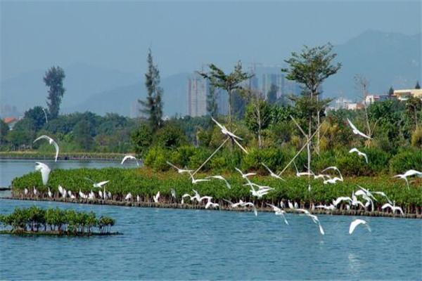 厦门武警情侣旅游地点_厦门武警情侣旅游_厦门武警情侣旅游在哪里