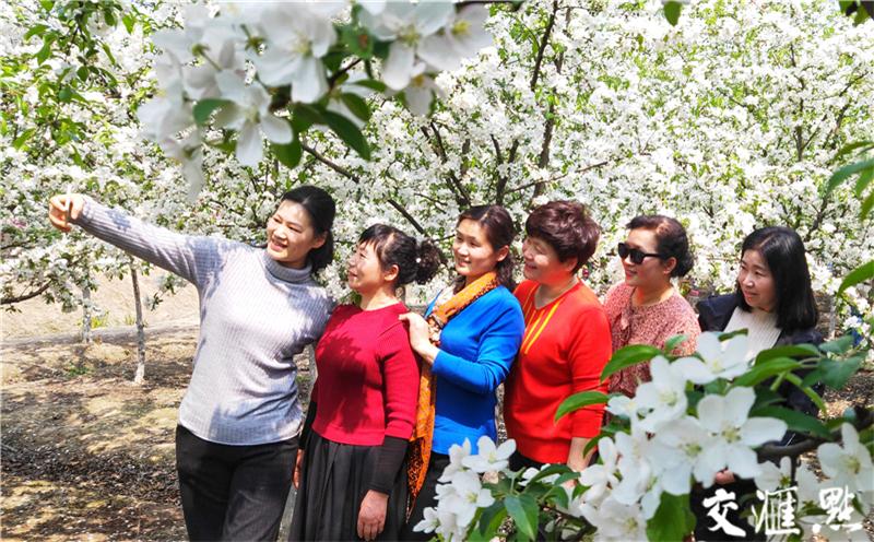 沭阳特色旅游产业_江苏沭阳旅游怎么样_沭阳旅游团