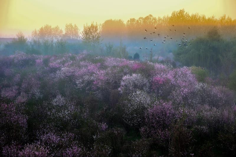 特色旅游产业沭阳有哪些_沭阳特色旅游产业_沭阳旅游