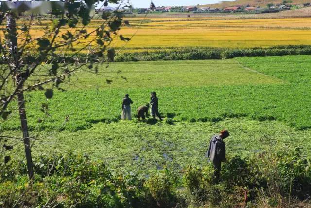 家庭报团旅游哪家便宜_特别便宜的旅游团能报吗_便宜旅行团旅游