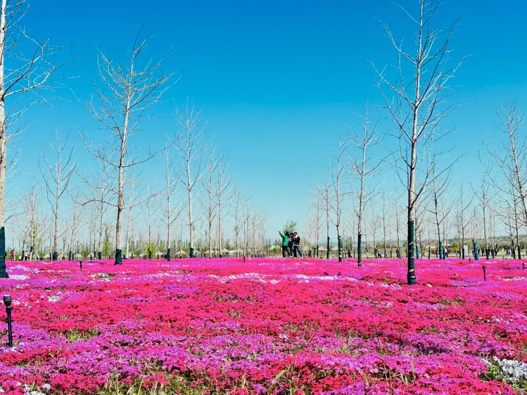 景点旅游乌苏路线图_乌苏的旅游景点_景点旅游乌苏路线