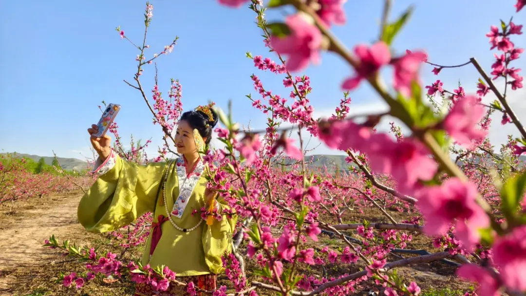 景点旅游乌苏路线_景点旅游乌苏路线图_乌苏的旅游景点