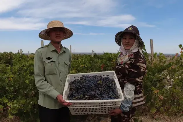 景点旅游乌苏路线图_乌苏的旅游景点都有些什么地方_乌苏的旅游景点