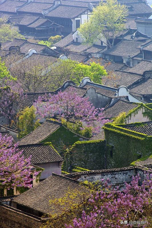 嘉兴周边海边_嘉兴海边好玩的地方_嘉兴海边旅游景点