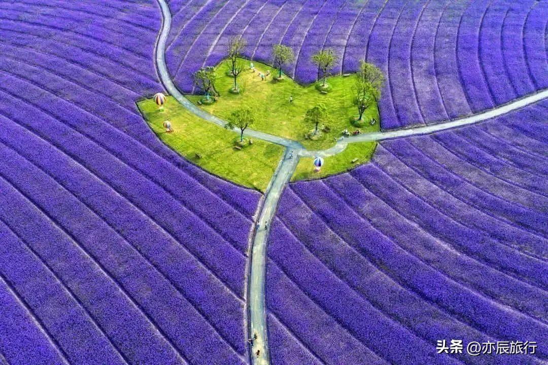 嘉兴海边好玩的地方_嘉兴海边旅游景点_嘉兴周边海边