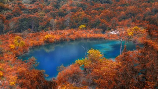 江西自由行旅游路线_江西路线旅游自由行攻略_江西旅游路线怎样安排好一点