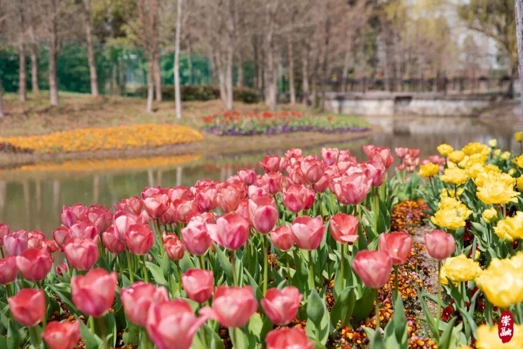 季节岛攻略_崇明岛四季气候_崇明岛旅游季节