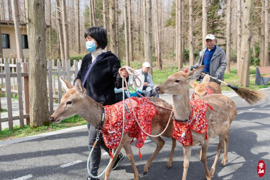 季节岛攻略_崇明岛四季气候_崇明岛旅游季节