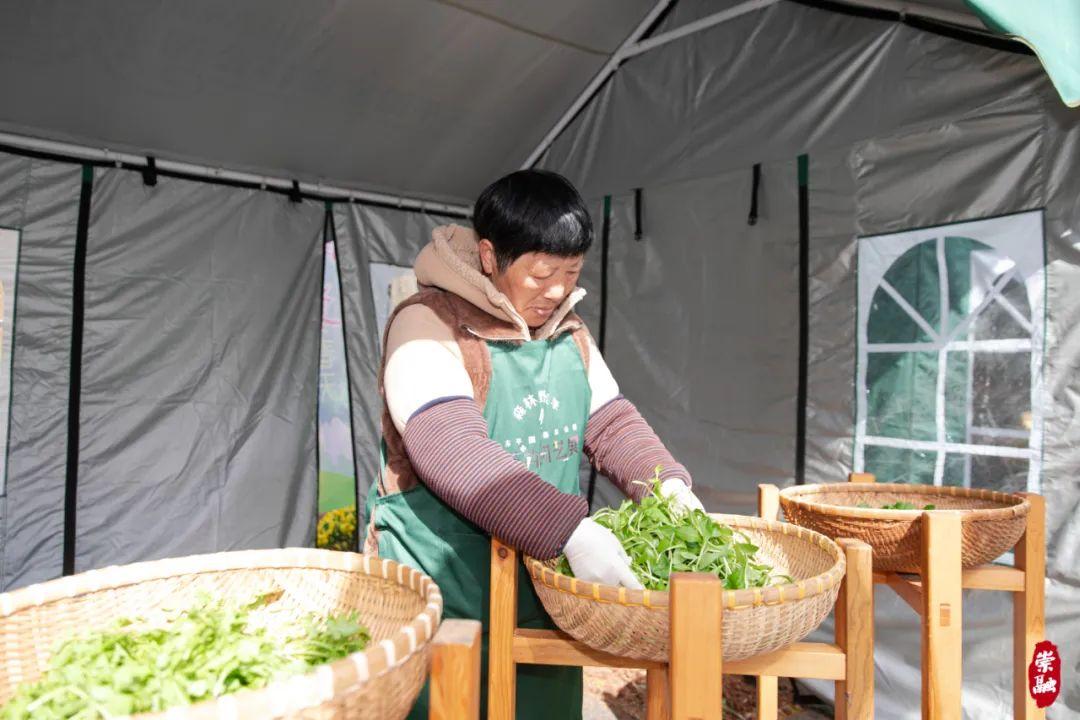 崇明岛旅游季节_季节岛攻略_崇明岛四季气候