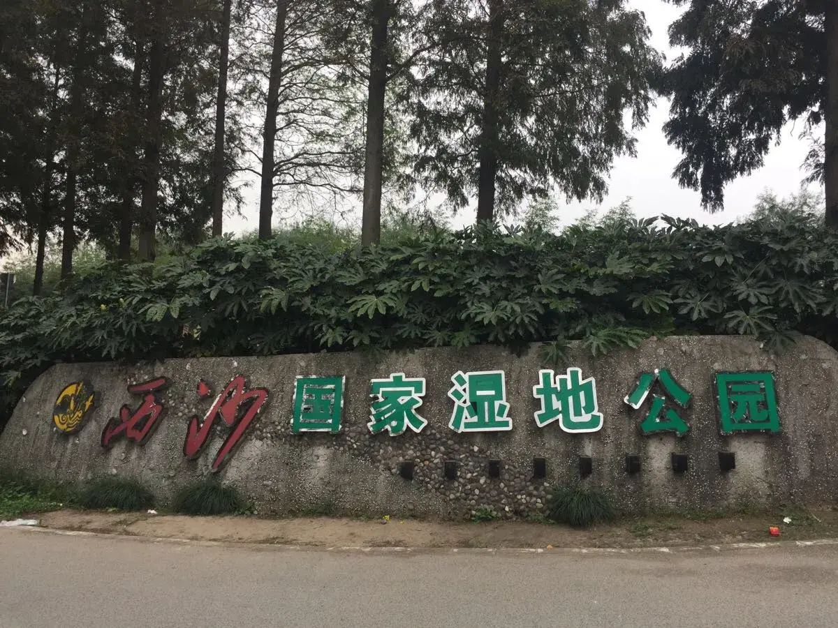 崇明最美的季节_崇明岛的四季_崇明岛旅游季节