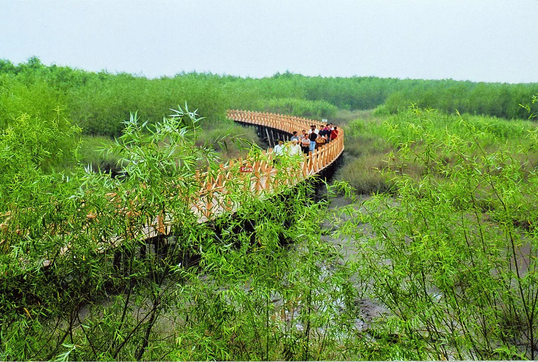 崇明岛旅游季节_崇明最美的季节_崇明岛的四季