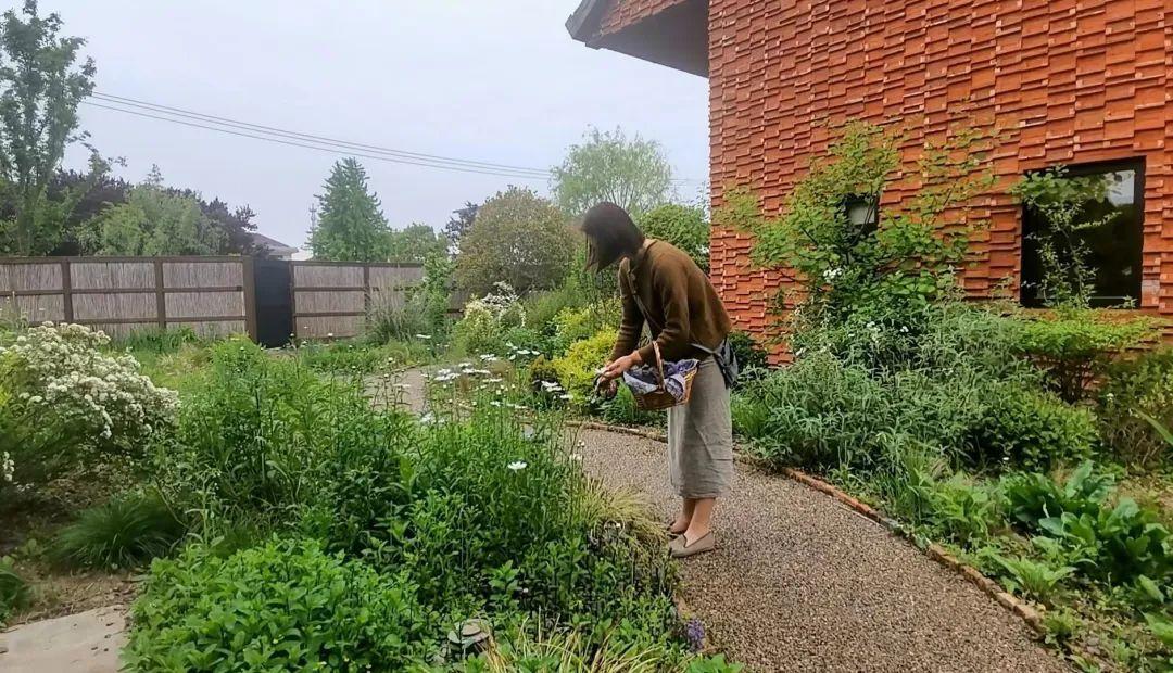 崇明岛旅游季节_崇明岛的四季_季节岛攻略