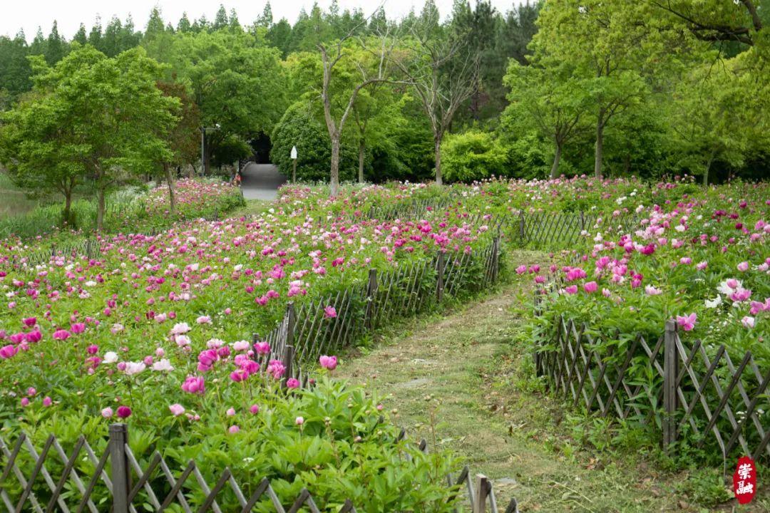 季节岛攻略_崇明岛的四季_崇明岛旅游季节