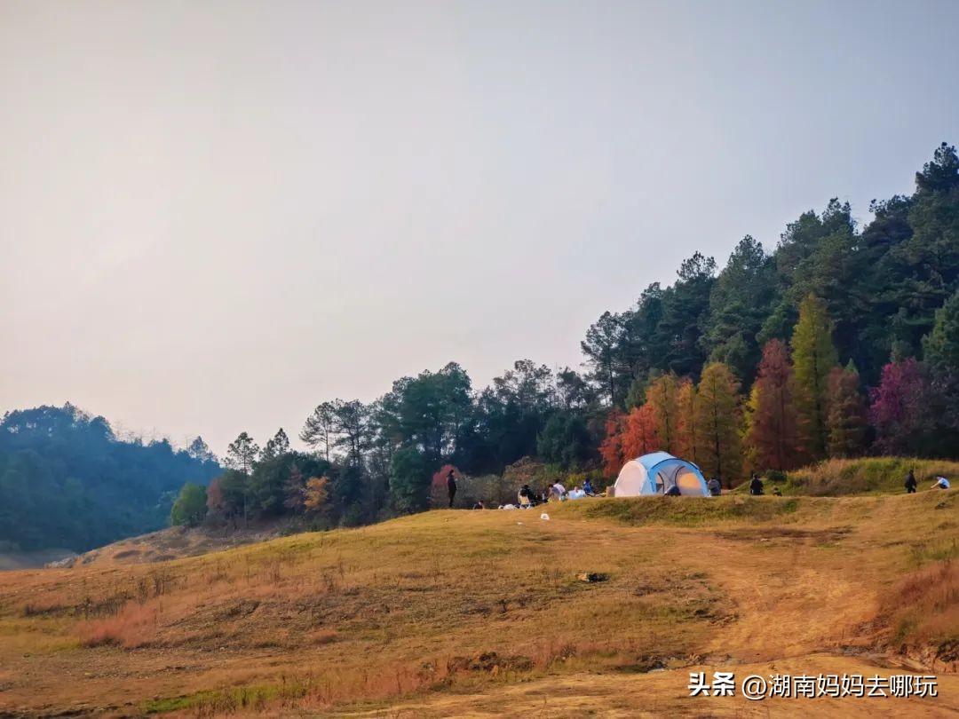 长沙旅游2天自由行_长沙旅游自由行攻略5天_长沙旅游自由行天气状况