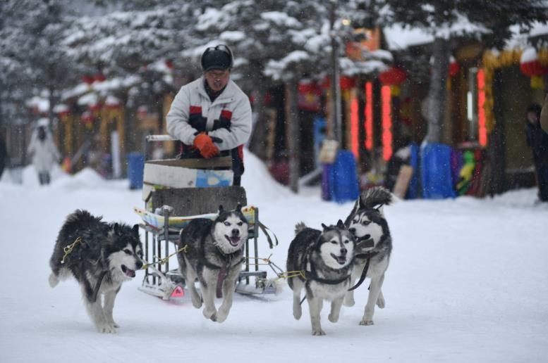 去雪乡带拉杆箱还是背包_东北雪乡旅游装备清单_雪乡旅游需要什么装备