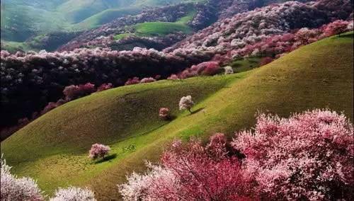 和田最好的旅游季节_和田冬季旅游_和田地区旅游