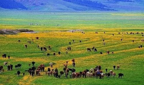 旅游季节性的地方_季节分布旅游特点有哪些_季节旅游分布特点