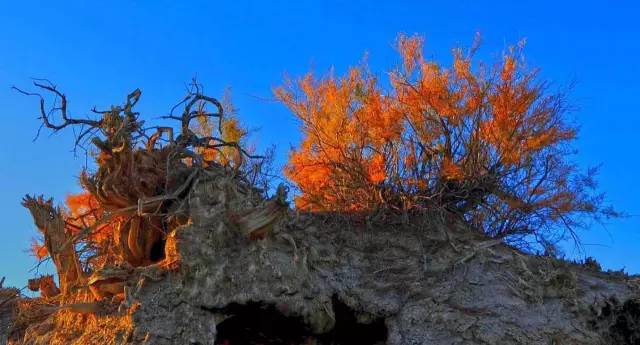 季节旅游分布特点_旅游季节性的地方_季节分布旅游特点有哪些