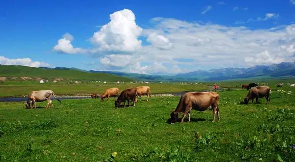 旅游季节性的地方_季节旅游分布特点_季节分布旅游特点有哪些