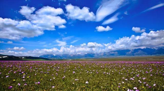 旅游季节性的地方_季节分布旅游特点有哪些_季节旅游分布特点