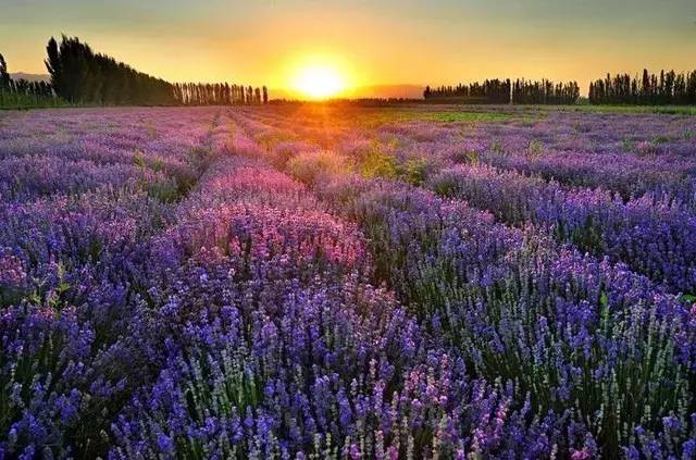 季节分布旅游特点有哪些_旅游季节性的地方_季节旅游分布特点