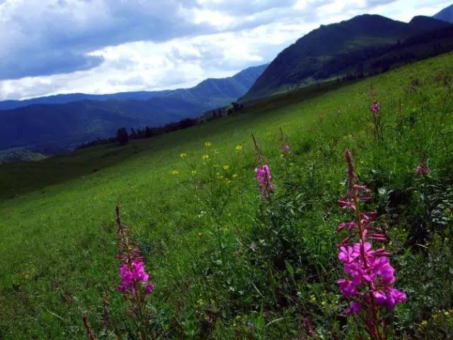 季节分布旅游特点有哪些_季节旅游分布特点_旅游季节性的地方