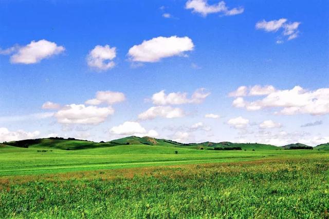 旅游自由行哪里好_旅游自由行好还是报团好_旅游自由行好还是跟团好