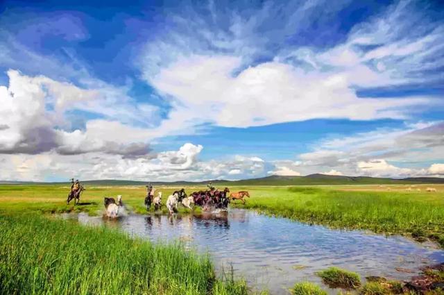 旅游自由行哪里好_旅游自由行好还是跟团好_旅游自由行好还是报团好