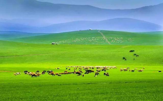 旅游自由行好还是跟团好_旅游自由行好还是报团好_旅游自由行哪里好