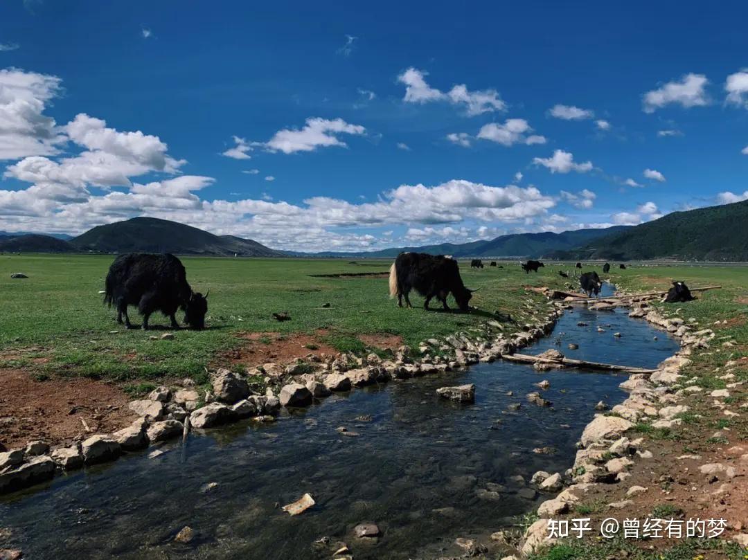 云南旅途景点_云南旅游攻略必去景点排名_旅游景点推荐云南