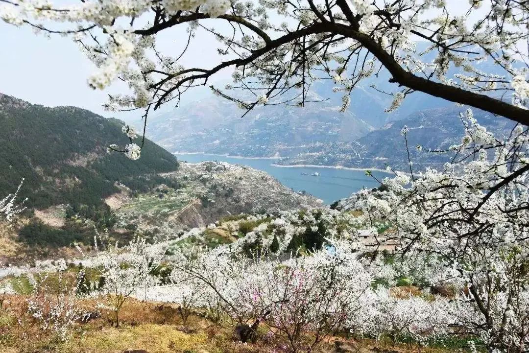 摩围山好不好耍_摩围山旅游季节_摩围山游玩时间