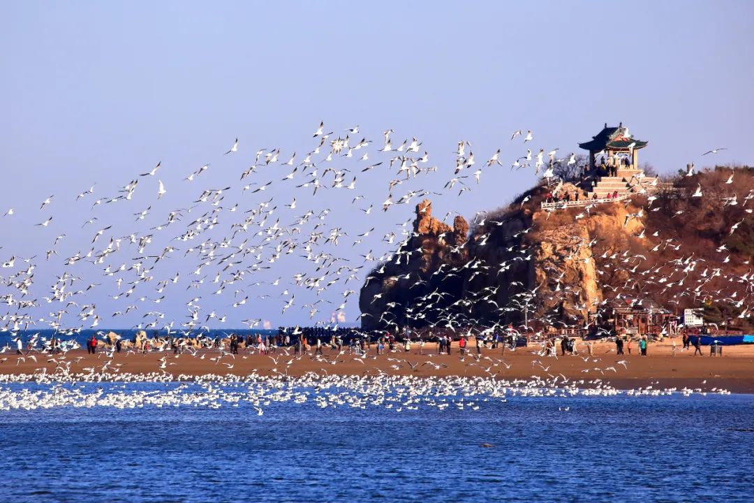 乡村线路特色旅游设计图_乡村旅游线路设计方案_特色乡村旅游线路设计