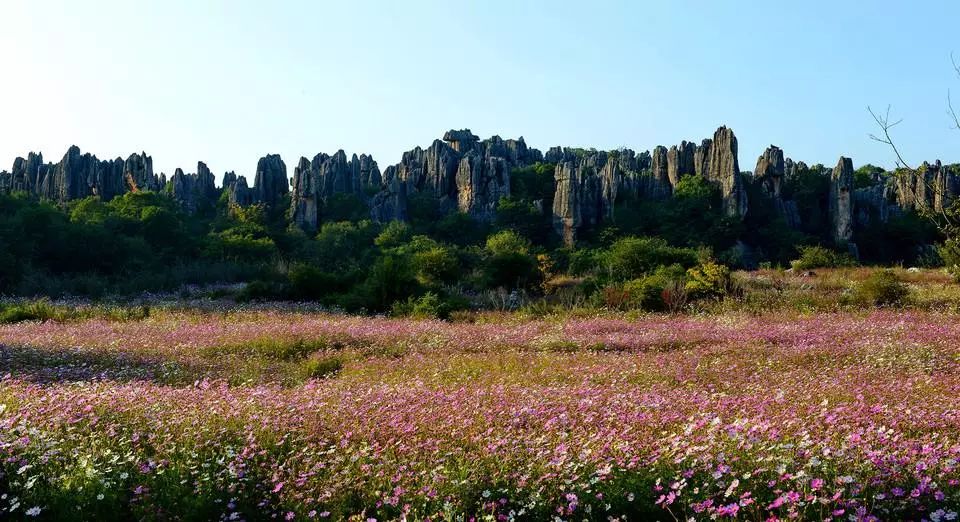 昆明这个季节旅游景点_昆明景点季节旅游攻略_昆明景点季节旅游推荐