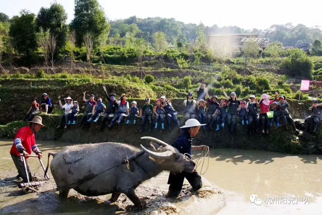 云南旅游推荐语_云南旅游推荐理由_云南旅游景点推荐学生文案