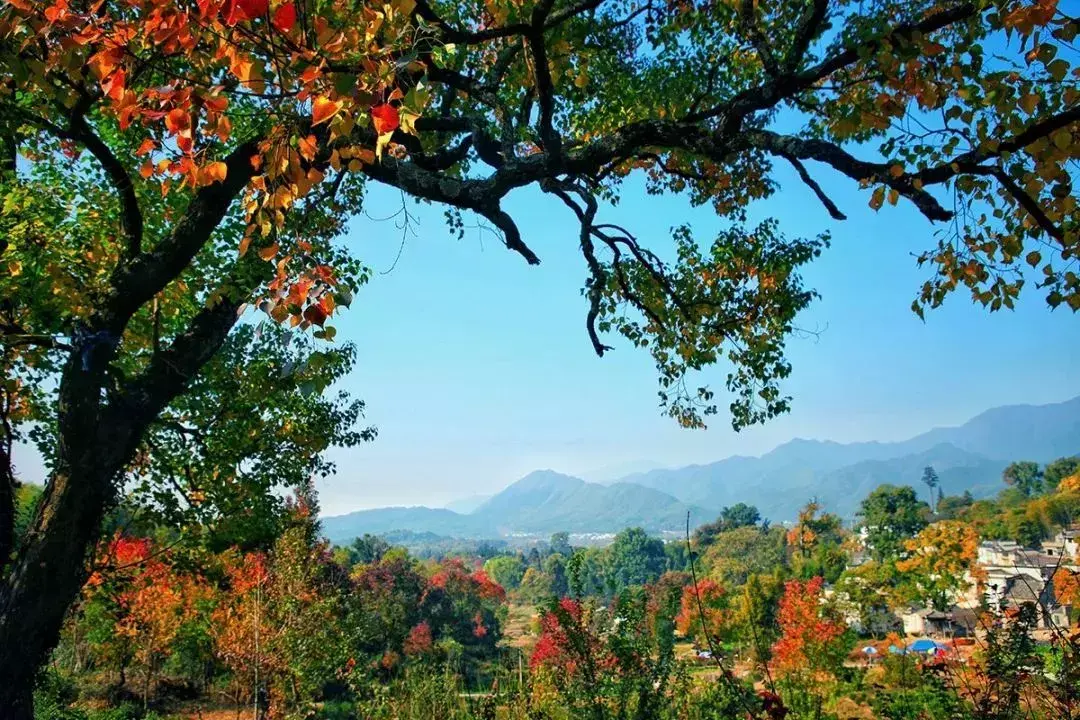 塔川旅游攻略_塔川旅游景点介绍_塔川旅游季节