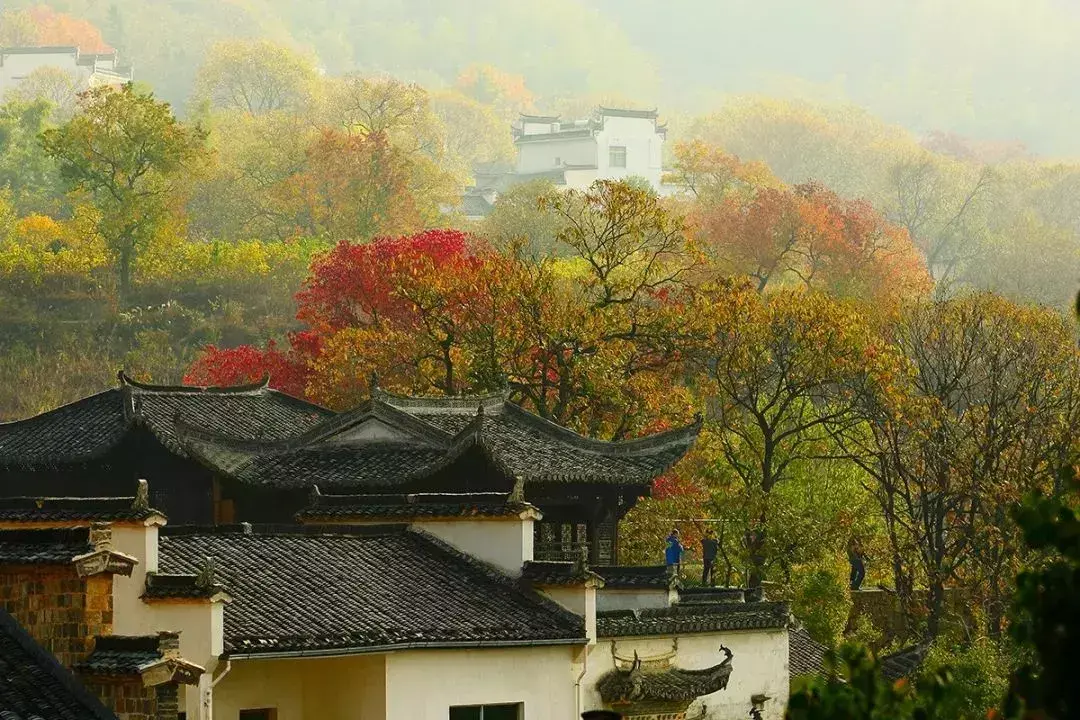 塔川旅游景点介绍_塔川旅游季节_塔川旅游攻略