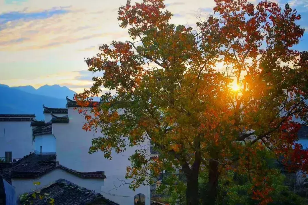 塔川旅游季节_塔川旅游景点介绍_塔川旅游攻略