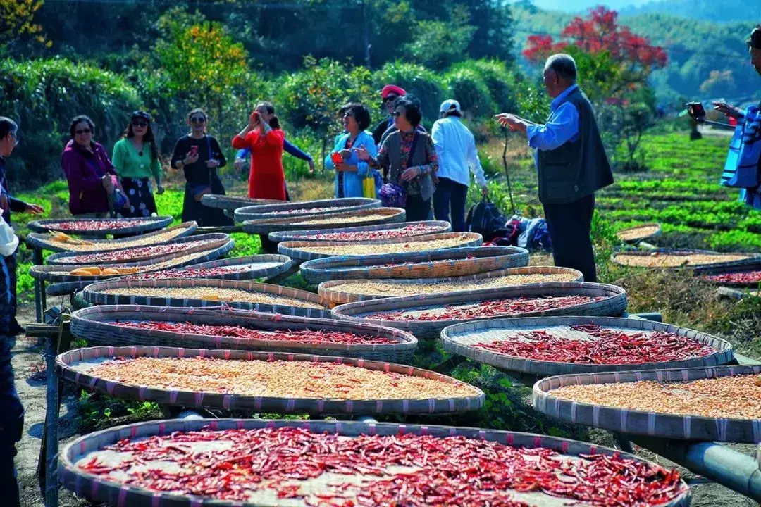 塔川旅游景点介绍_塔川旅游季节_塔川旅游攻略