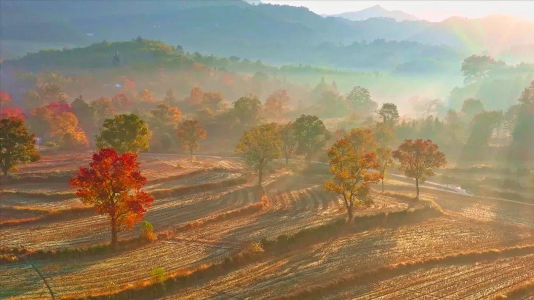 塔川旅游攻略_塔川最佳旅游季节_塔川旅游季节