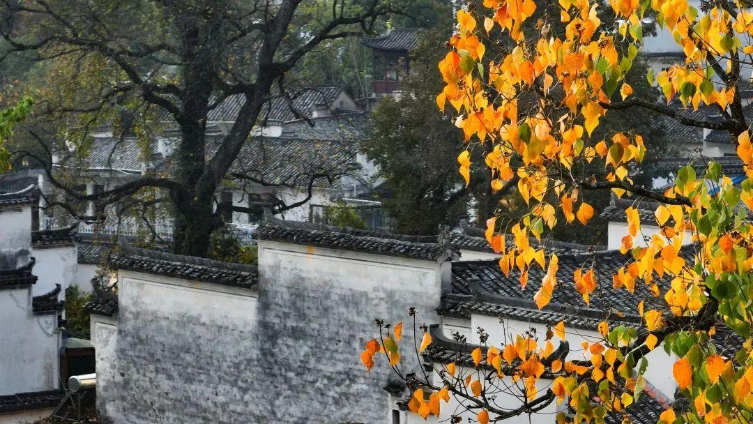 塔川旅游攻略_塔川最佳旅游季节_塔川旅游季节