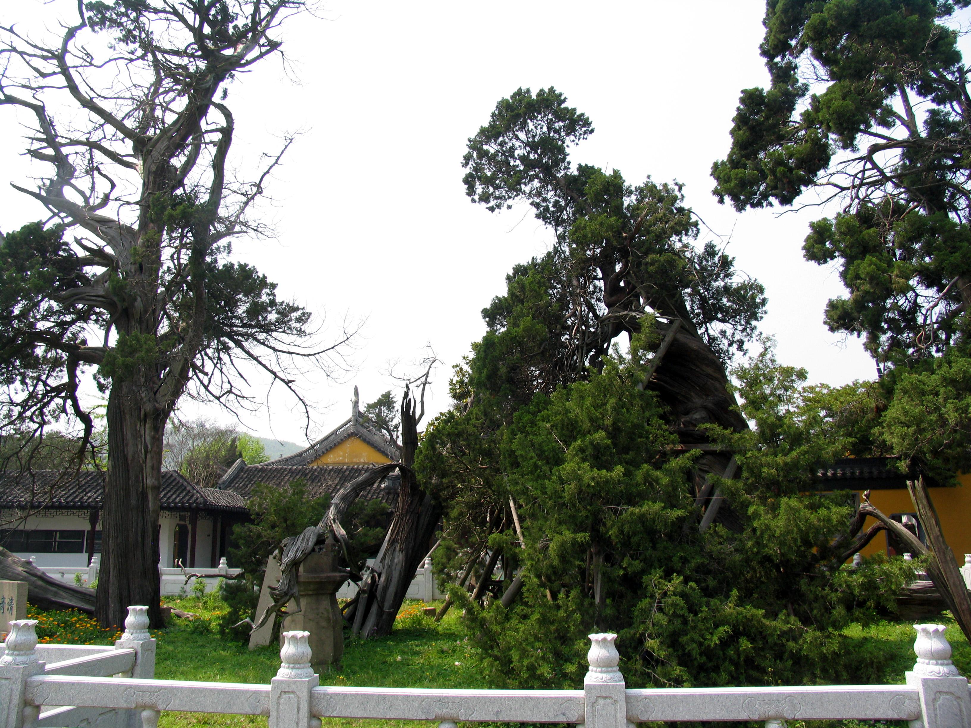 樟州景区_樟州旅游必去十大景点_樟州旅游景点