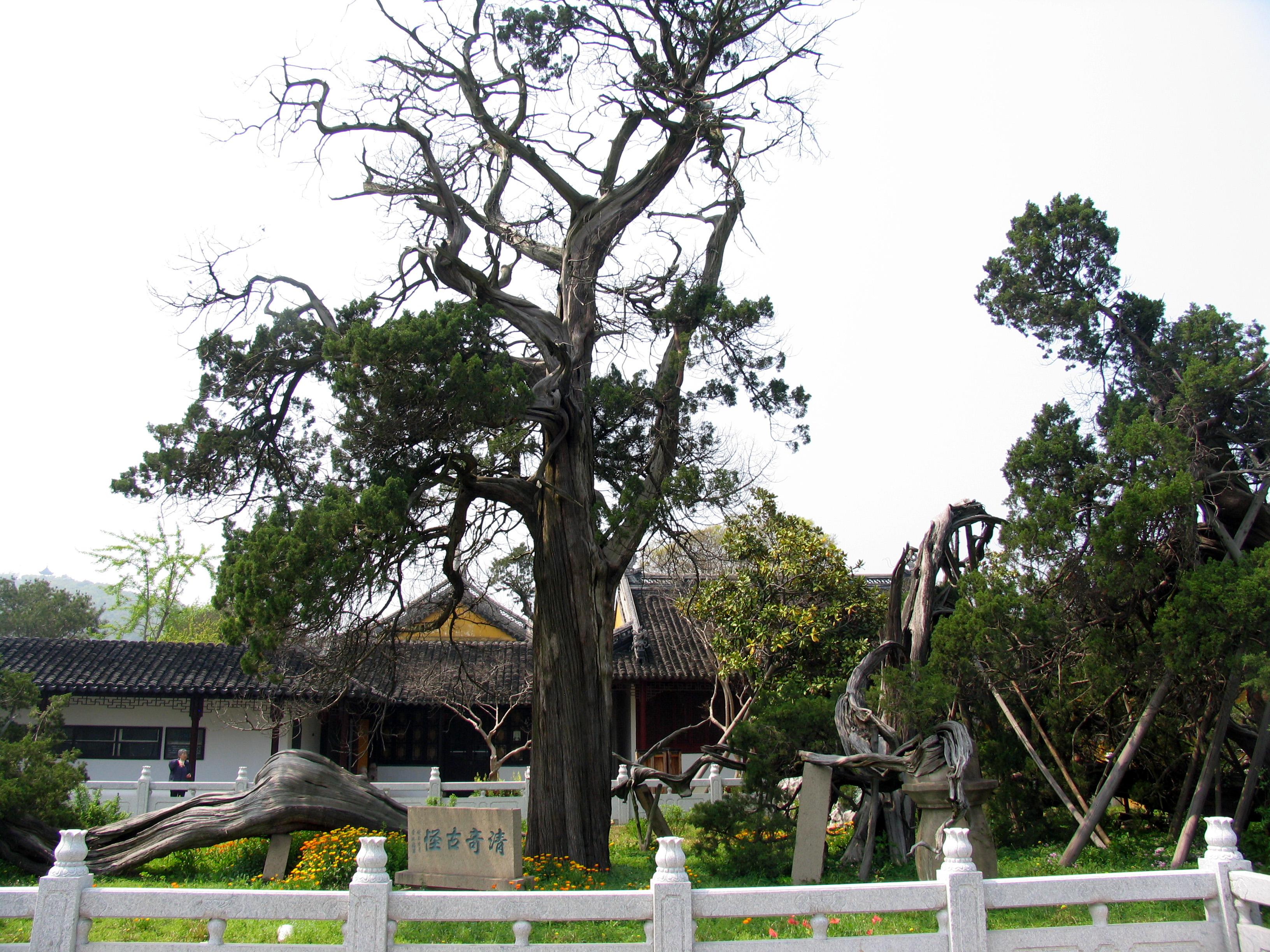 樟州旅游必去十大景点_樟州旅游景点_樟州景区