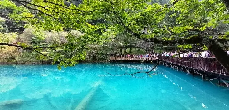 成都旅游景点分布图_成都旅游景点地图分布_成都景点分布地图