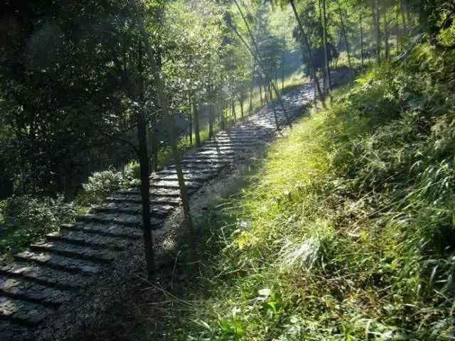 温州景点旅游推荐路线_温州十一旅游景点推荐_温州景点旅游推荐一日游