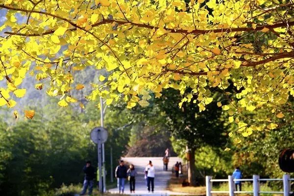 韶关旅游特色早餐_韶关早餐美食攻略_韶关旅游美食攻略